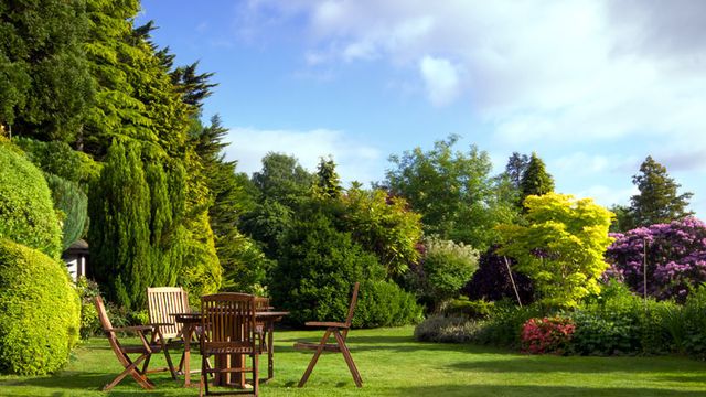 Domicilis intervient dans l’entretien de votre jardin